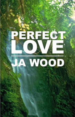 Perfect Love By JA Wood